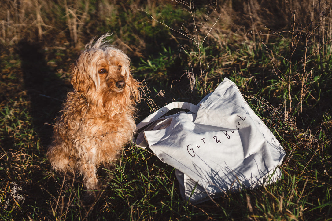 Beyond Farming / Gut&Bösel Bag