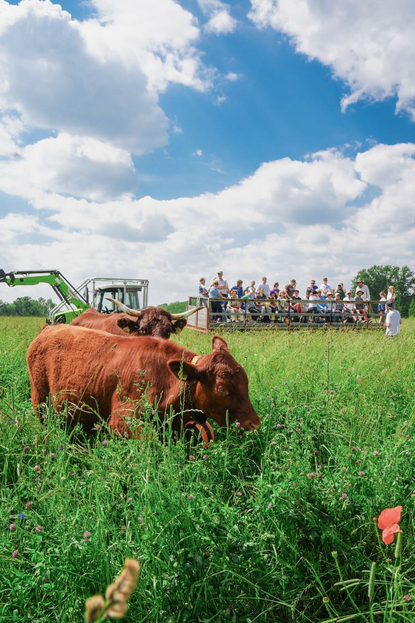 Die große Gut&Bösel Hoftour