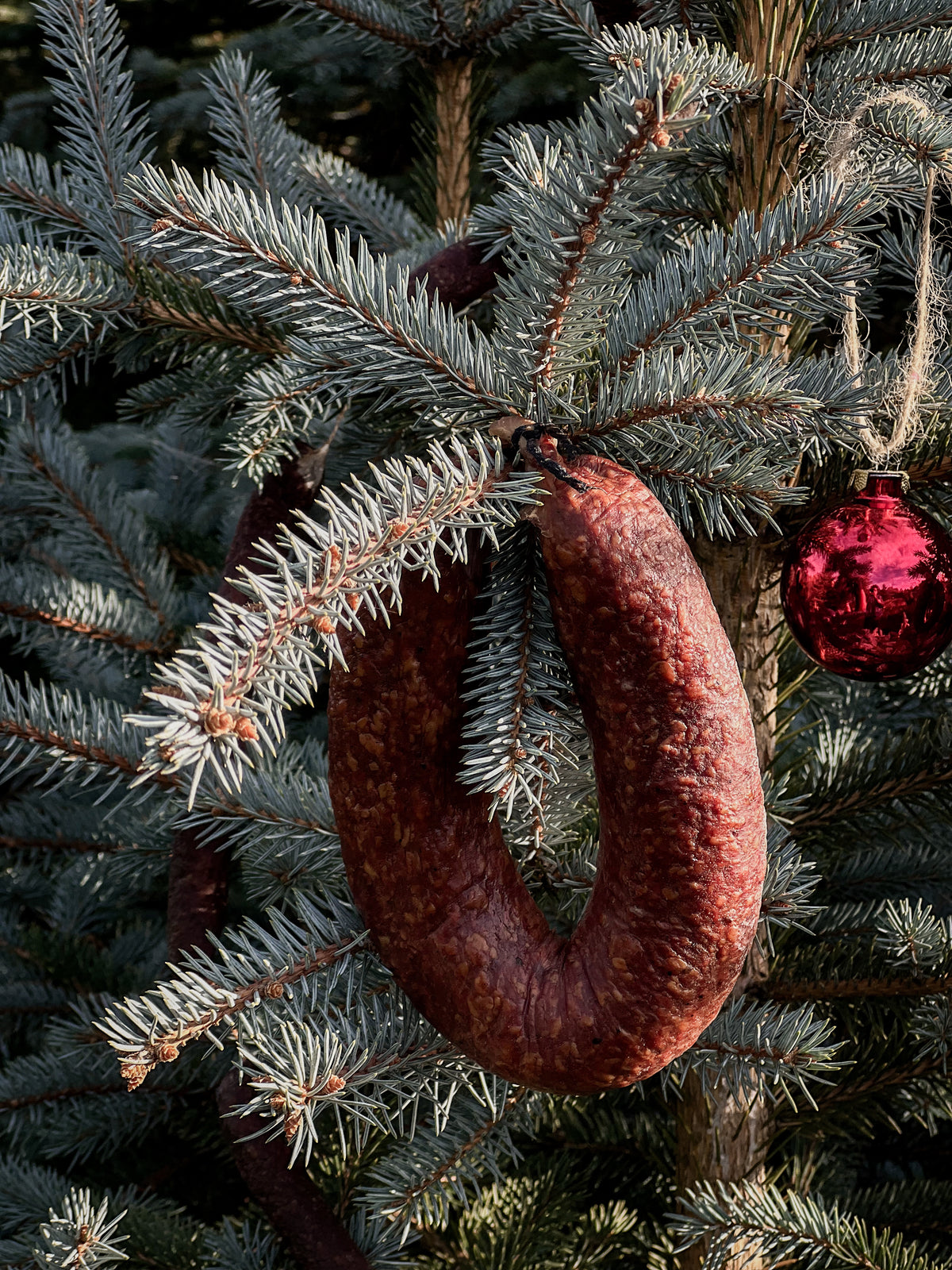Wacholderkringel vom Bio-Weiderind