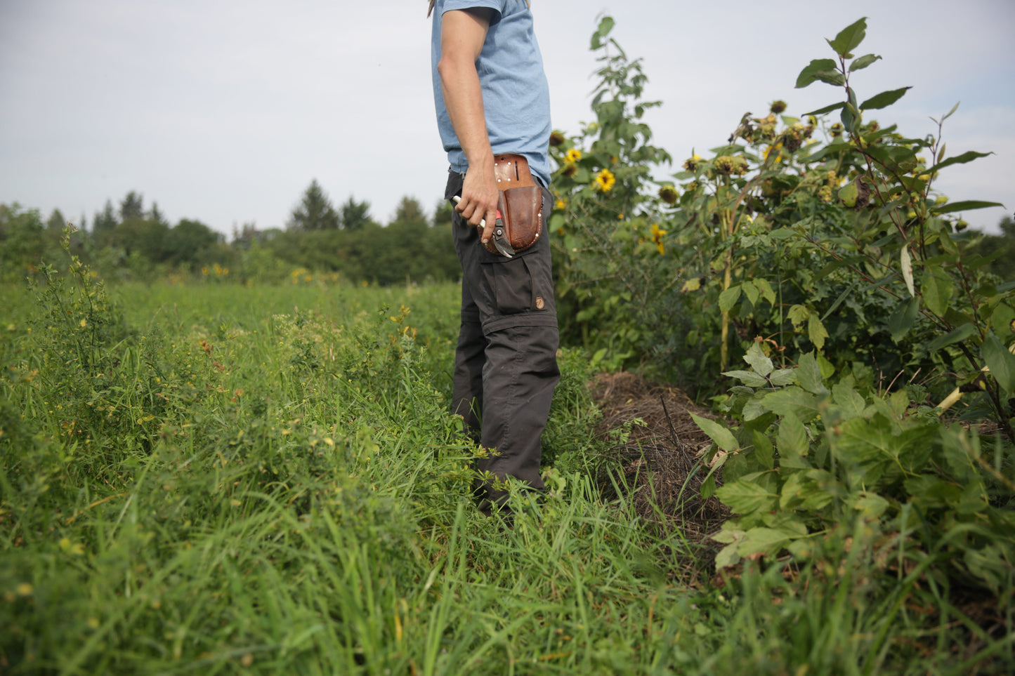 Werkzeuggürtel aus Madlitzer Naturleder – limited edition