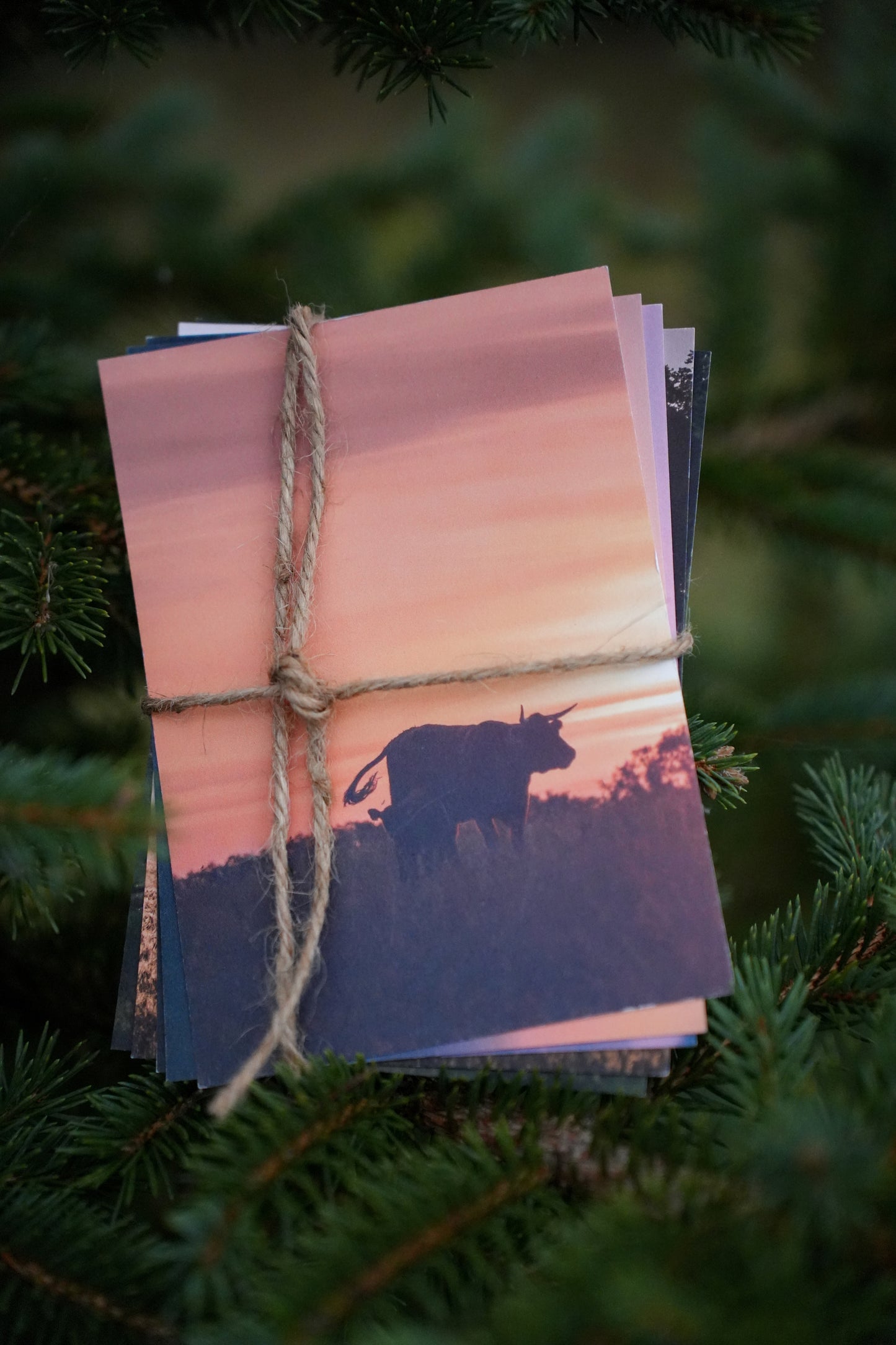 Gut&Bösel Weihnachtsbox